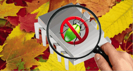 Assertion autumn image