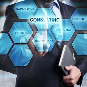 Consulting Services - InnoFour Experts