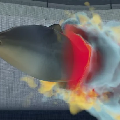 Engineer INNOVATION with CAE Simulation & Test